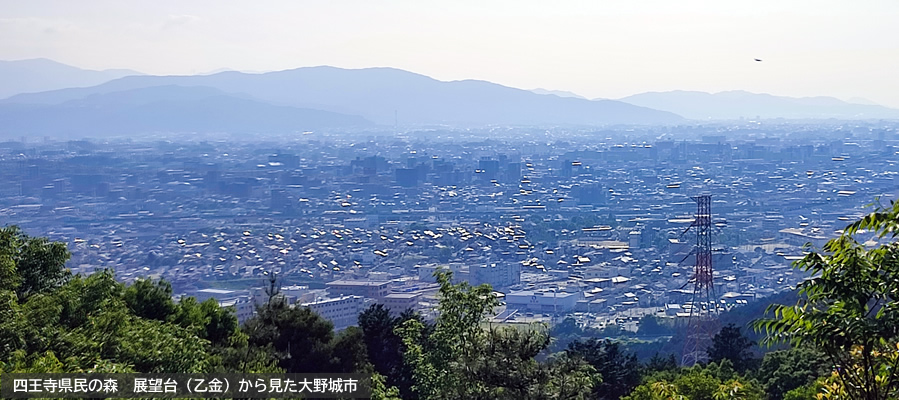 四王寺県民の森　展望台
