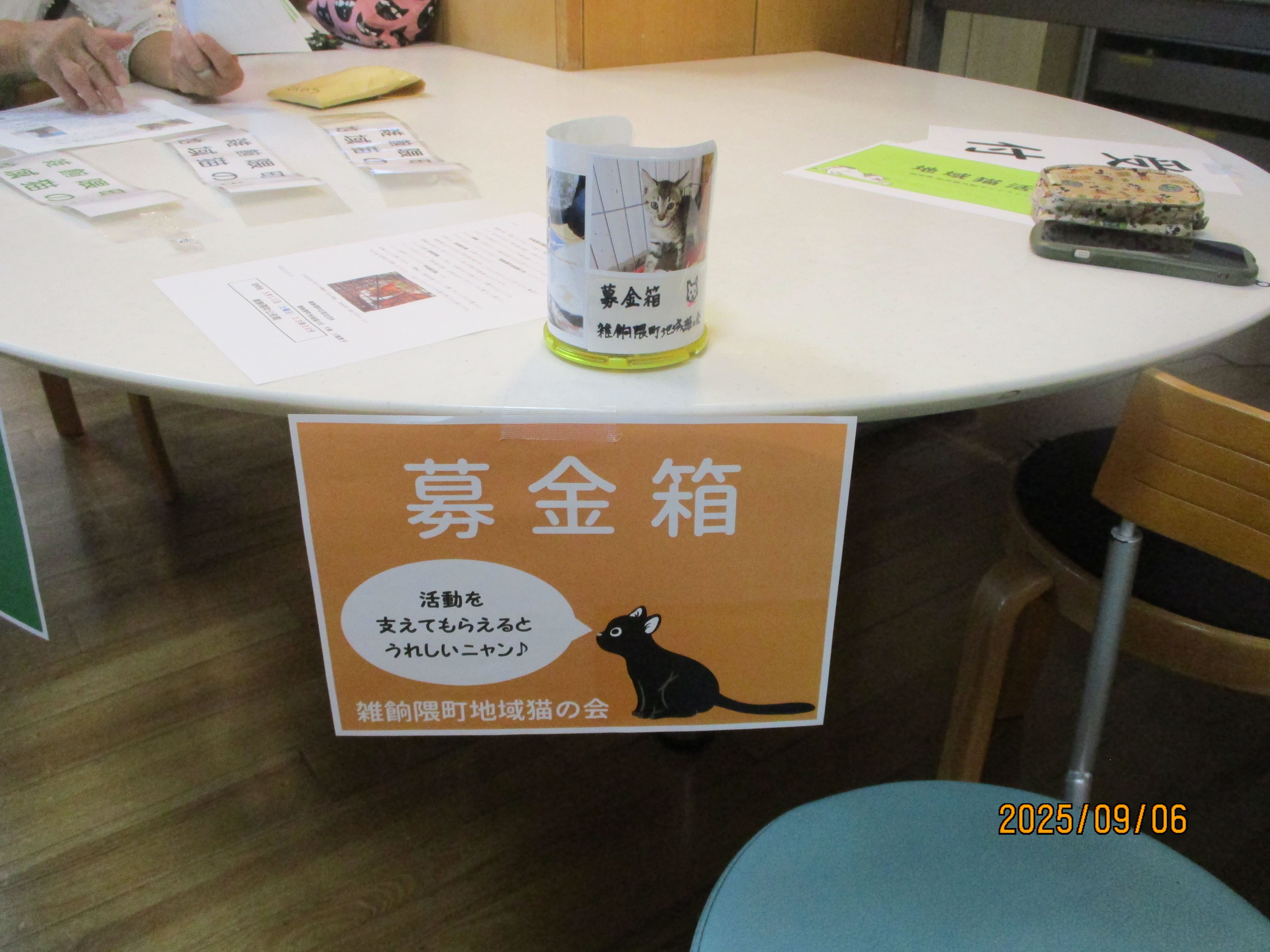 地域猫活動はじめませんか？様子3.jpg
