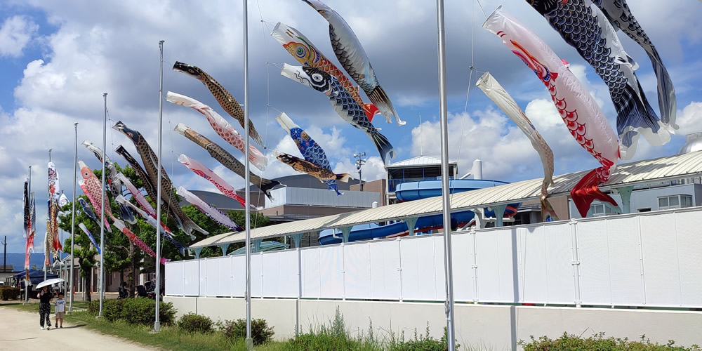 2_koinobori.jpg