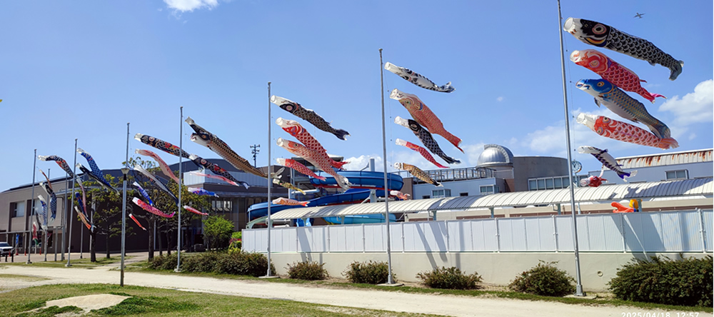 honbun-koinobori.jpg