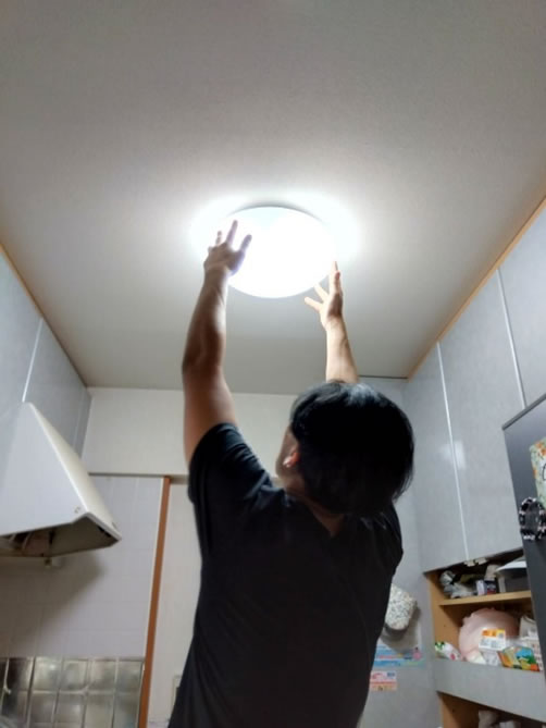 の画像