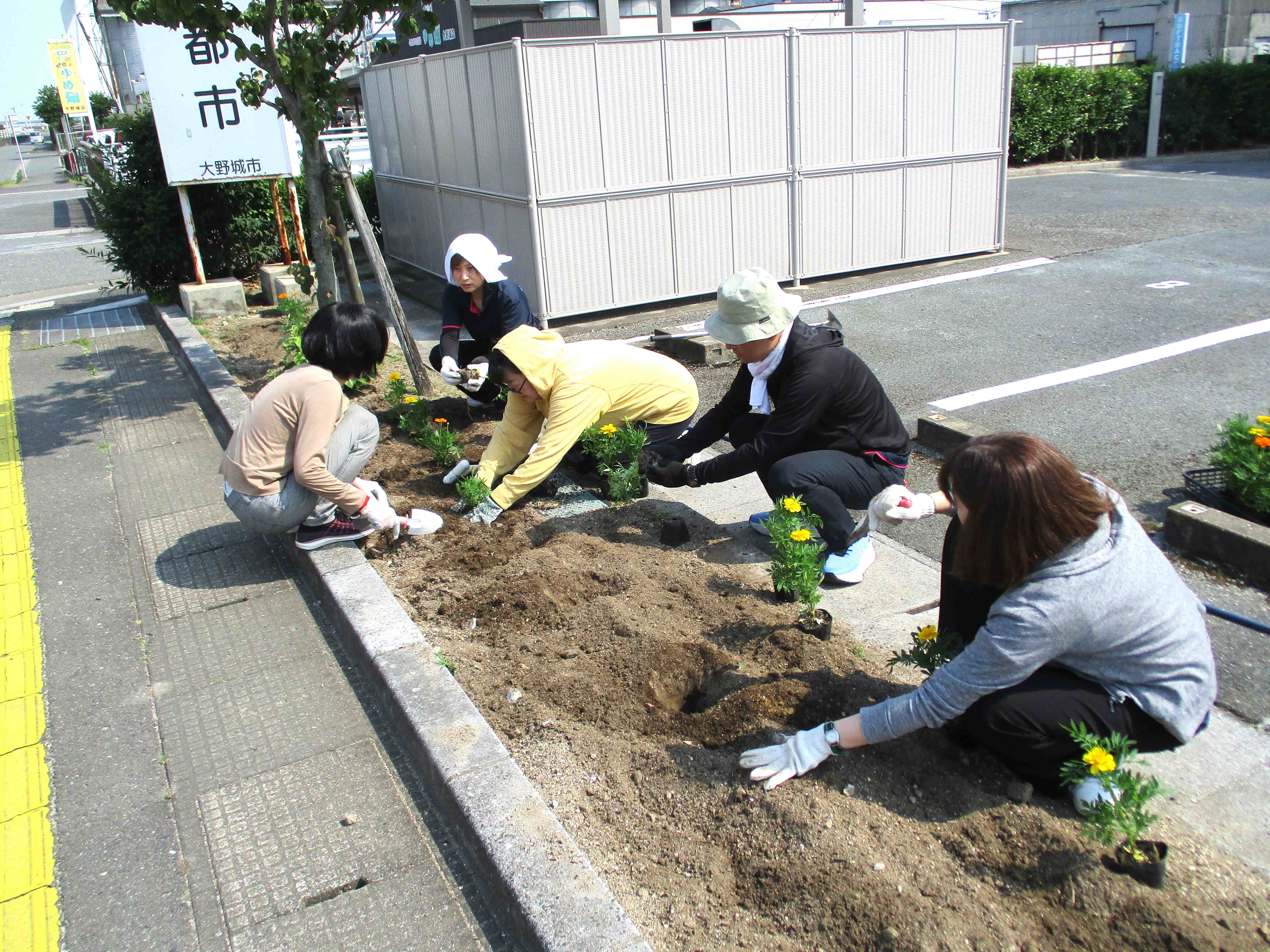 の画像